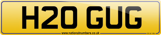 H20 GUG