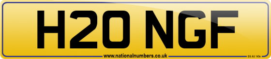 H20 NGF