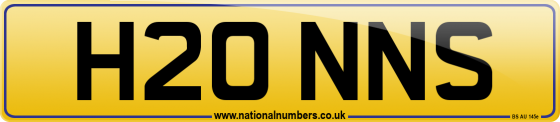 H20 NNS