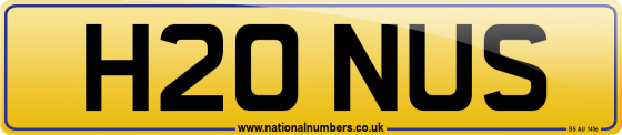 H20 NUS