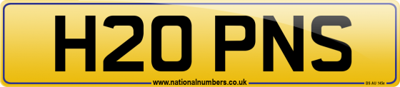 H20 PNS