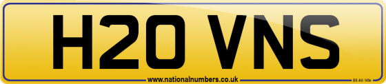 H20 VNS