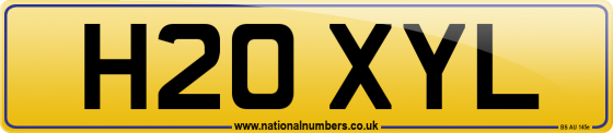 H20 XYL