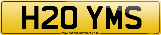 H20 YMS