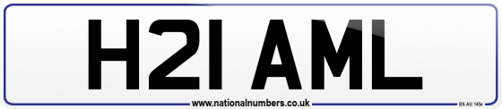 H21 AML