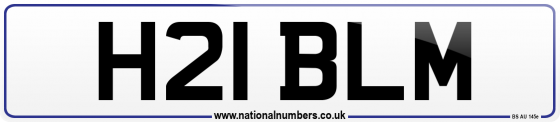 H21 BLM