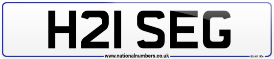 H21 SEG