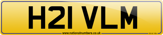 H21 VLM