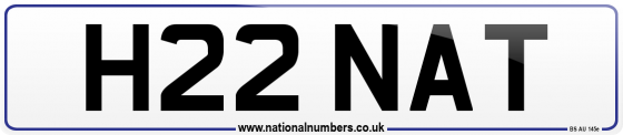 H22 NAT