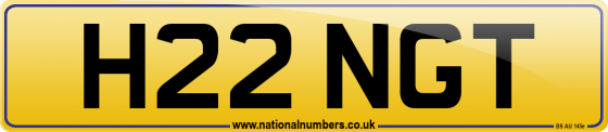H22 NGT