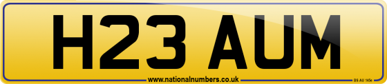 H23 AUM