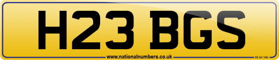 H23 BGS