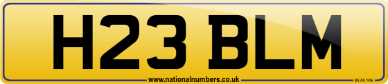 H23 BLM
