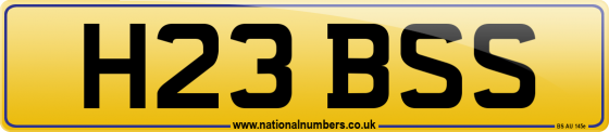 H23 BSS