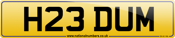 H23 DUM