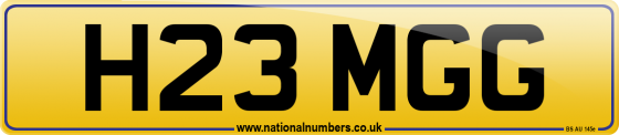 H23 MGG