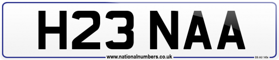 H23 NAA