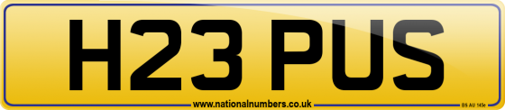 H23 PUS