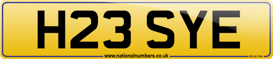 H23 SYE
