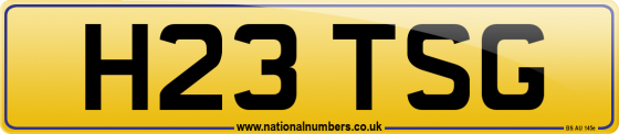 H23 TSG