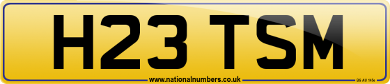 H23 TSM