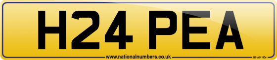 H24 PEA
