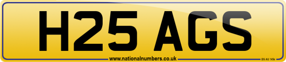 H25 AGS