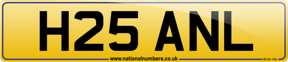 H25 ANL
