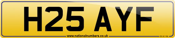 H25 AYF
