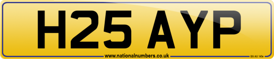 H25 AYP