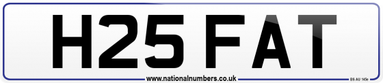 H25 FAT