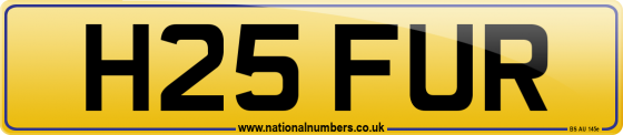 H25 FUR