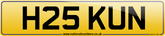H25 KUN