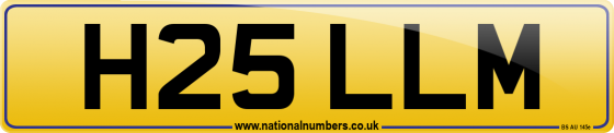 H25 LLM