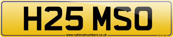 H25 MSO