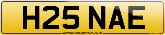 H25 NAE