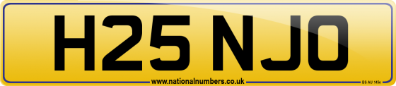 H25 NJO