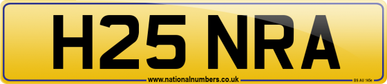 H25 NRA