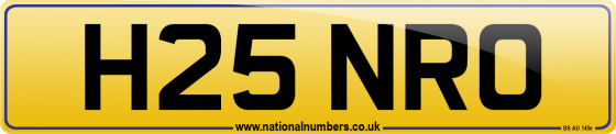 H25 NRO