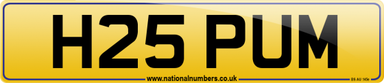 H25 PUM