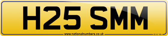 H25 SMM