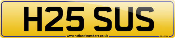 H25 SUS