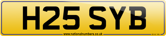H25 SYB