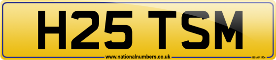 H25 TSM