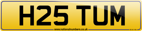 H25 TUM