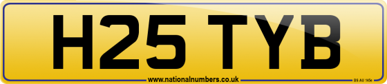 H25 TYB