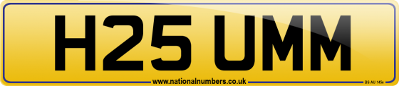 H25 UMM