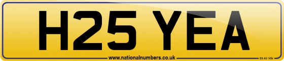 H25 YEA