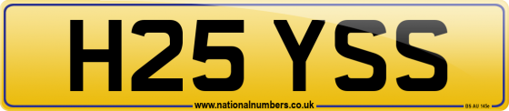 H25 YSS