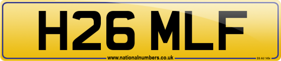 H26 MLF
